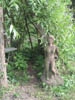 statue_jardin