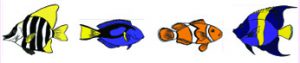 illustrations_Nicole_1077657_stained_glass_poissons-couleurs