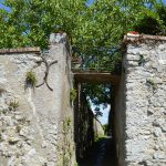 Saint-Dyé sur Loire