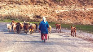 shepherdess-946173_640