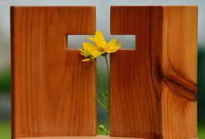 ensemble allons à la rencontre de jésus