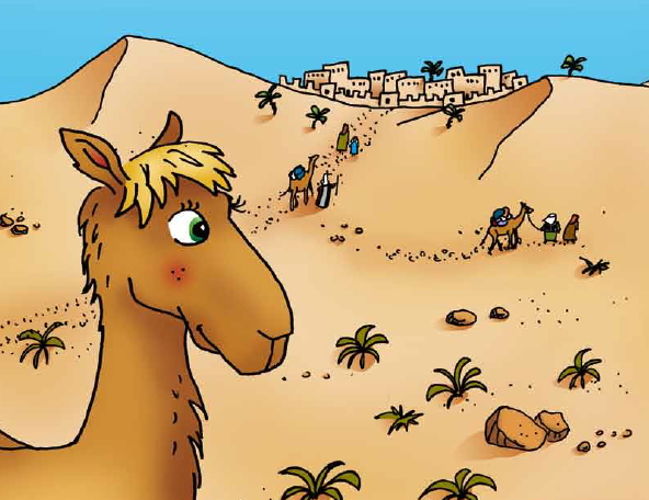 A dos de dromadaire : le programme